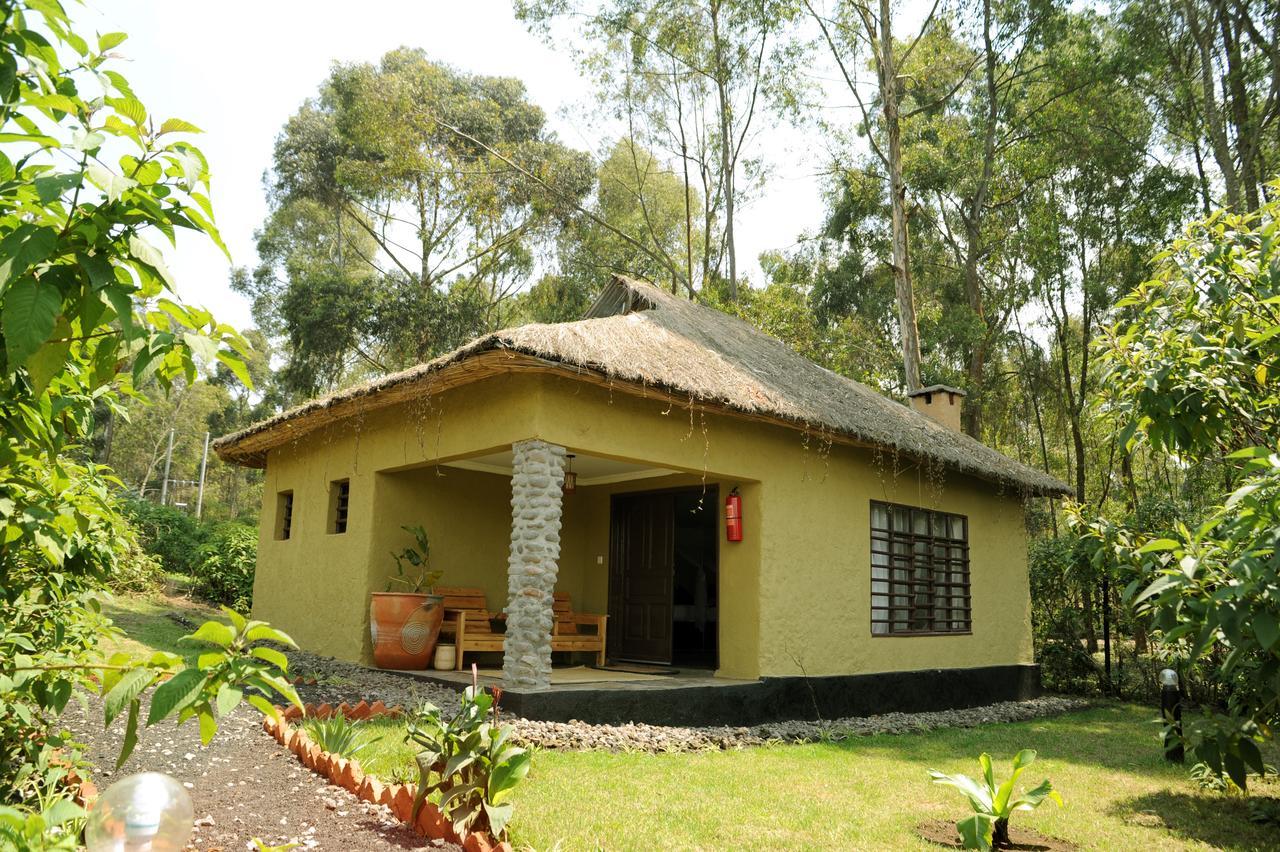 Davinci Gorilla Lodge Kinigi Dış mekan fotoğraf